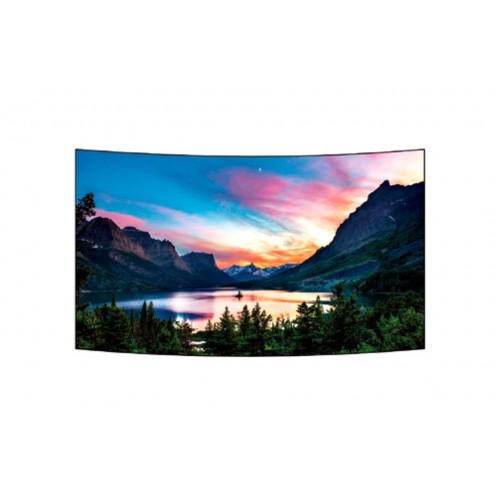 Monitor profesional LG OLED - 55EF5C