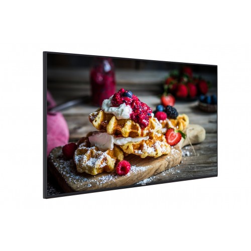 Monitor profesional Vestel ST Series ST55U01