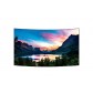 Monitor profesional LG OLED - 55EF5C
