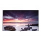 Monitor profesional LG Large Format - 98LS95A